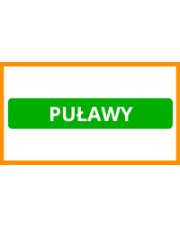Deski tarasowe z montażem PUŁAWY